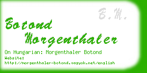 botond morgenthaler business card